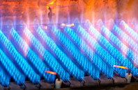 Burleston gas fired boilers